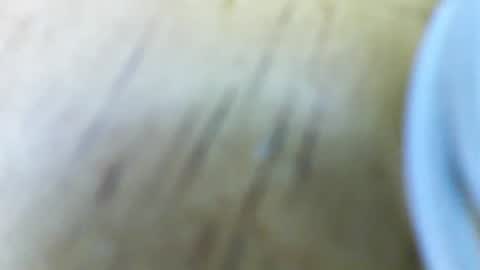 Snapshot of jessiehammerdik chatting on February 6, 5:57 am Dixon Cider online show from February 6, 5:57 am