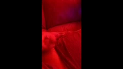 jetjon762844 online show from March 5, 8:43 am