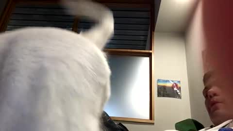 Jettdrummer12 online show from January 26, 12:16 am