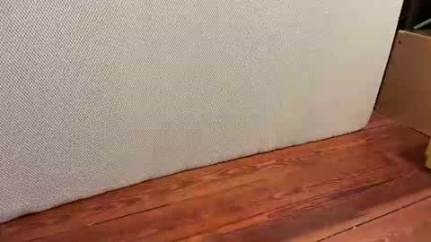 me online show from January 16, 6:49 am