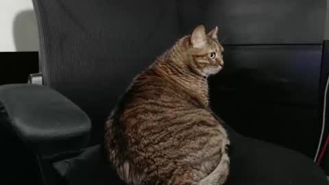 jhnbsomersxh0v1 online show from March 30, 11:11 am