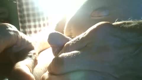 johnnieq1971 online show from April 23, 2:16 am