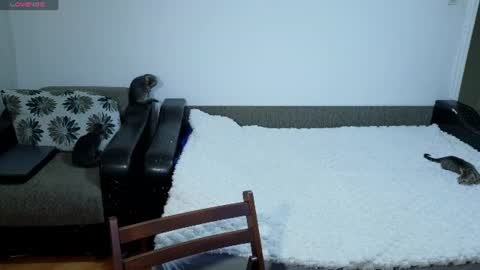 Johnny online show from July 12, 7:16 pm