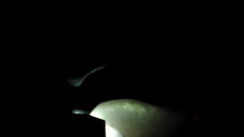 Snapshot of jonathanrossmyers858 chatting on October 6, 5:34 am jonathanrossmyers858 online show from October 6, 5:34 am