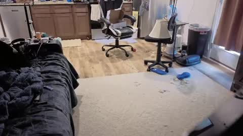 Josef online show from May 31, 5:23 pm