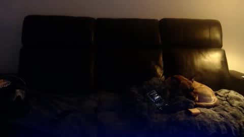 Josef online show from February 4, 12:27 am