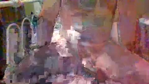 jroge21 online show from January 9, 11:56 pm