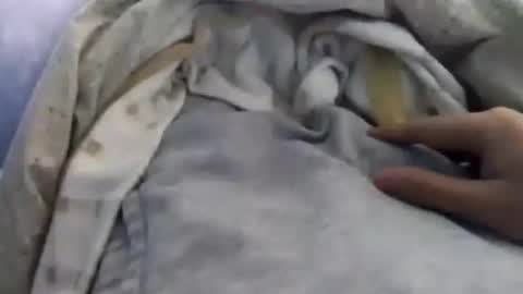 Asian office boy online show from January 12, 5:56 am