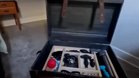 justanimals online show from October 6, 5:17 pm