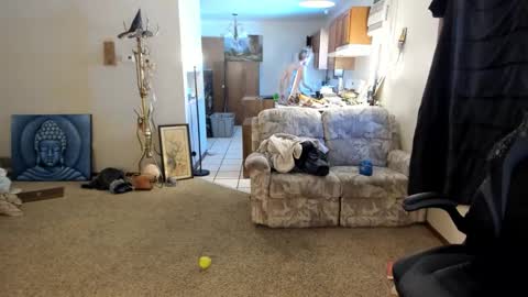 Kaiku77 online show from December 4, 5:42 pm