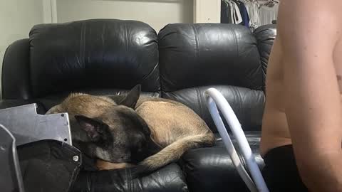 Dexter online show from February 16, 11:05 am