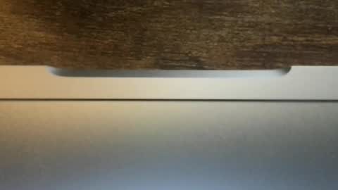 kickboxer04 online show from April 3, 3:31 pm