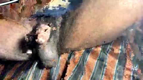 Big Dipper online show from January 4, 11:11 am