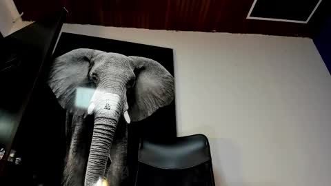 Angel Falconer online show from November 2, 12:37 am