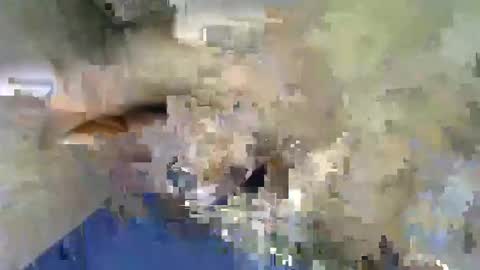 kingcums_95 online show from March 8, 12:17 pm