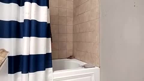 Snapshot of kingdongkonglong chatting on January 21, 5:06 am kingdongkonglong online show from January 21, 5:06 am