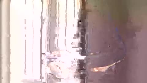 kingemizzy online show from November 21, 8:57 am