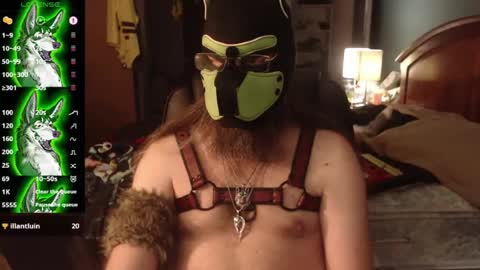 kinkywolf87 online show from July 3, 12:06 am