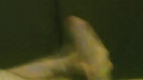 Snapshot of kren565656 chatting on September 20, 8:47 am kren565656 online show from September 20, 8:47 am