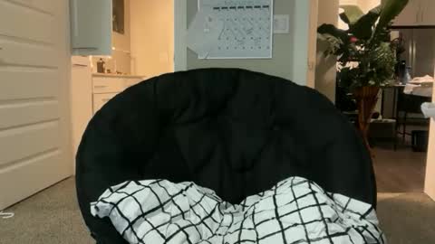 Kyle Kickstand online show from November 17, 2:14 am