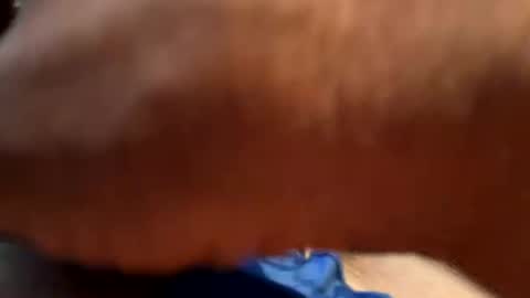 Brad101 online show from July 22, 12:08 pm