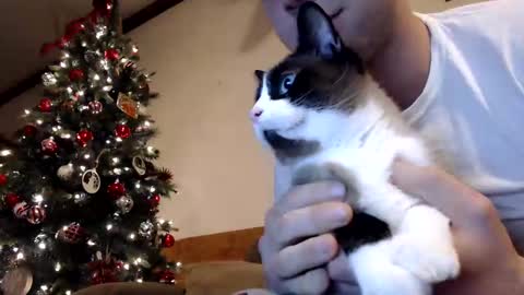 Snapshot of lancehardin chatting on December 30, 1:04 am Lance online show from December 30, 1:04 am