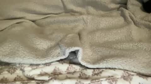 HUNG YUNG STR8 online show from February 27, 7:02 pm