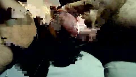 legofactory online show from October 14, 4:41 am