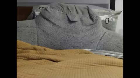 leologan online show from January 31, 10:42 am