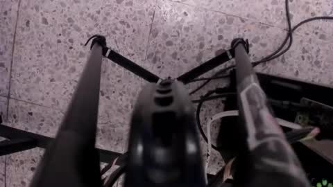 Leo  online show from November 11, 5:01 am