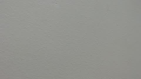 lex__miller online show from January 6, 12:58 am