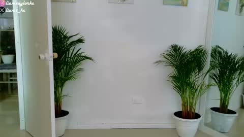 Tell me Liam online show from November 19, 5:24 pm