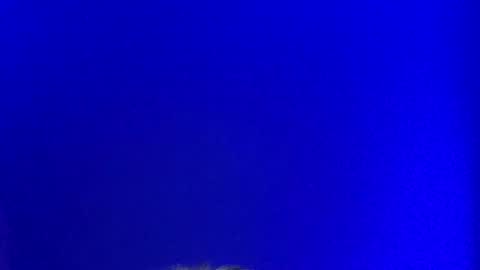 LickYourYoni online show from January 26, 3:14 pm