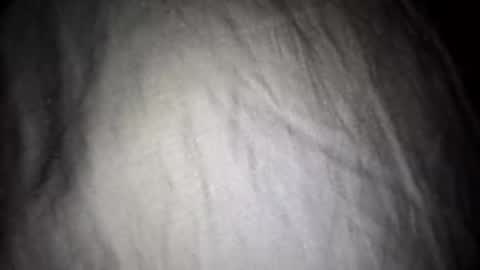 lidlhous online show from February 15, 1:12 am