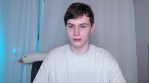 Snapshot of littlesadcabbage chatting on December 11, 12:24 am Sonnenschein online show from December 11, 12:24 am