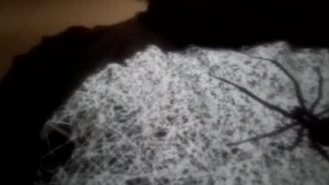 longone2600 online show from January 8, 3:39 pm