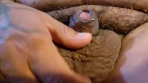 2791 3D online show from March 19, 12:58 am