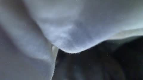 Milk Me online show from May 27, 9:12 pm