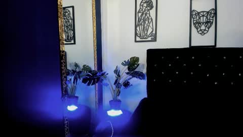 Lucca   IG Luccamallard online show from February 4, 11:49 am