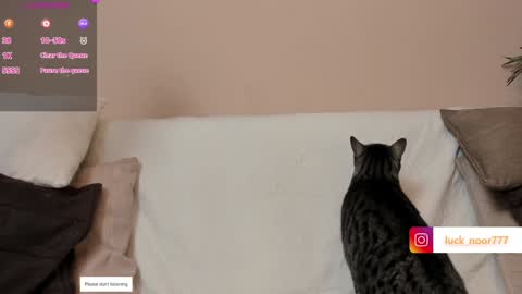 Snapshot of lucke_noor chatting on January 29, 5:35 pm Noor online show from January 29, 5:35 pm