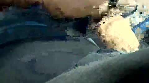 luiso29 online show from December 2, 11:54 am