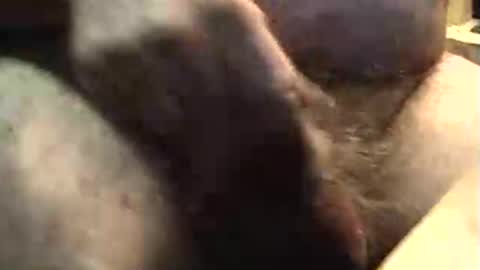 lukestarfckr online show from October 9, 9:36 am