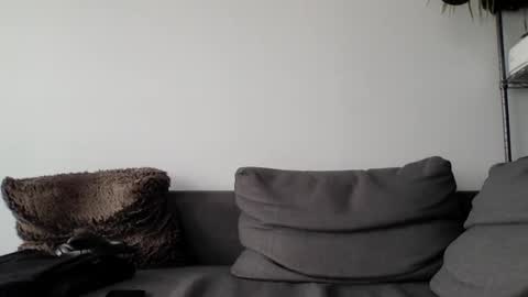 Lupine online show from March 27, 8:26 am