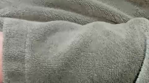 lustgardener67 online show from November 8, 2:31 pm