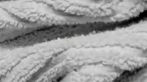 lustgardener67 online show from February 4, 7:33 pm