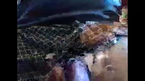 lutorres online show from September 10, 11:42 am