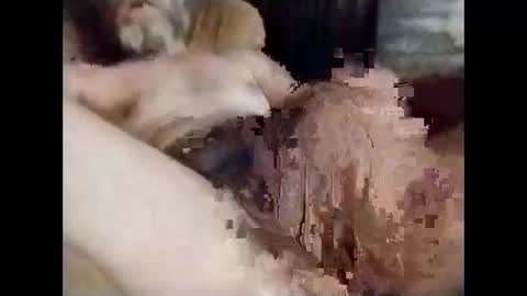 luvin3 online show from November 28, 2:59 am