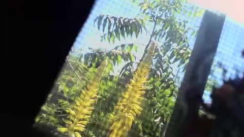 SLoppYxXPeeHoLeXxGspotxX online show from February 22, 7:37 pm