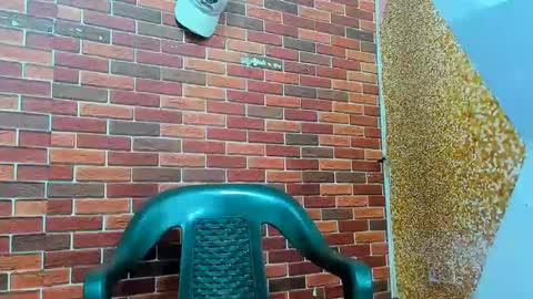 itgram pezlo josue online show from February 23, 12:43 pm