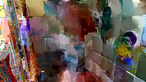 Mace Shwanger online show from April 20, 2:36 am